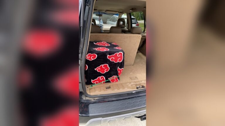 Can Subwoofers Damage Your Car